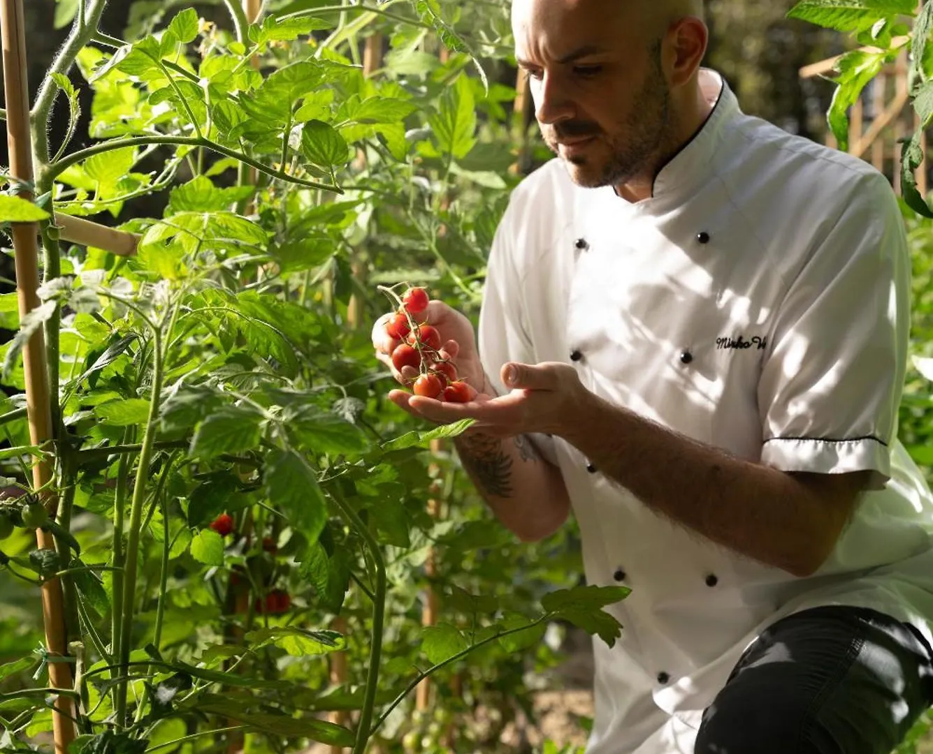 Castello Di Leonina Relais - Adults Only Hotel Siena